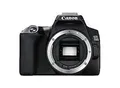 Canon EOS 250D Body schwarz
