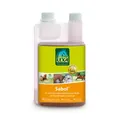 Lexa SABOL, 500 ml (69,98 EUR/l)