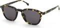 Lozza SL4399 741Y AVANA GIALLA LUCIDA 52/23/145 Herren Sonnenbrillen