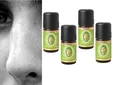 Primavera Riechtraining Set 4 ätherische Öle 100% naturreine Qualität Set 1