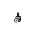 Riegler Druckregler »multifix« inkl. Manometer BG 1 G 1/4 0,5-16 bar