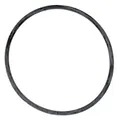 Tetra Dichtungsring O-Ring EX 600/800 Plus