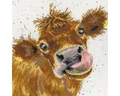 Bothy Threads Kreativset Bothy Threads Kreuzstich-Set "Moo", (embroidery kit by Marussia)