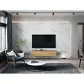 Platan Room Lowboard, Fernsehschrank 105/140/160/210/280cm breit Hängend Stehend Matt 140 cm
