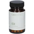 CBD VITAL Darmpflege Kapseln