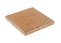 Terrassenplatten VIA SANDSTEIN 30/30/4 CM PE2