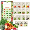 Gemüsesamenset 15 Sorten Samen Saatgut für Gemüse Tomate Zucchini Spinat