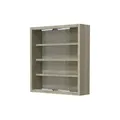 Hängevitrine   ¦ holzfarben ¦ Maße (cm): B: 37 H: 40 T: 10.0