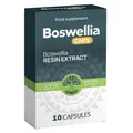 Boswellia Kapseln – reines Boswellia mit 60% Boswelliasäuren 240mg  Weihrauchext
