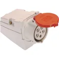 As - Schwabe CEE Wanddose (60432)
