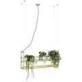 Qazqa Pendelleuchte Cage, ohne Leuchtmittel, E27, Gold/Messing, Industrie, Stahl, 4-flammig
