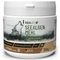 ReaVET Seealgenmehl Hund 300g - Barf Zusatz Mineralien, Rein & Pur, Seealgenmehl für Hunde barfen, Futterzusatz aus Seealgen Ascophyllum Nodosum