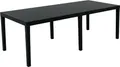 Gartentisch - Anthrazit 90x220x72h cm