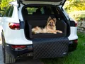CopcoPet Hundebox Auto Kofferraumschutz Hund mit ladekantenschutz kofferraum【Mit Tasche】kofferraum schutzmatte herausnehmbar - Hunde Autositz mit Anschnallsystem, hundetransportbox 110x90x38cm Schwarz