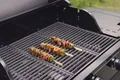 TENNEKER Grillspieß Fleischspieß Gemüsespieß 130 Stk.