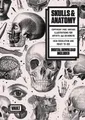 Skulls & Anatomy (Taschenbuch) (US IMPORT)
