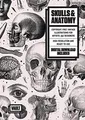 Skulls  Anatomy: Copyright Free Vintage Illustrations f... | Buch | Zustand gut
