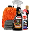 Felgenreinigung & Versiegelung Set | Sonax Felgenbeast Felgenreiniger 500ml Sonderedition + Sonax Xtreme Ceramic Quick Detailer 140ml + Felgenpinsel + Waschhandschuh