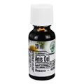 Anis Öl Inhalt: 20 ml