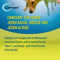 Canosan Konzentrat 650 g