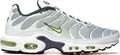 Nike Air Max Plus TN Wave Grid Pebble Grey Lime Steel Herren - 42