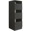 Bega BBK Laundrezzy Wäscheschrank Holzwerkstoff 68x50x162 cm
