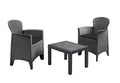 Spetebo Rattan Gartenmöbel Set anthrazit - 2 Sessel mit Polster + Gartentisch - Balkon Set Sitzgruppe Rattanset