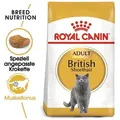 ROYAL CANIN British Shorthair 10kg