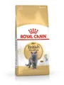 Royal Canin FBN British Shorthair Adult dry cat food - 10 kg