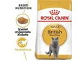 ROYAL CANIN British Shorthair Adult 10 kg
