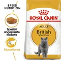 ROYAL CANIN Adult Trockenfutter British Shorthair 10kg