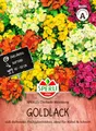 Sperli Goldlacksamen SPERLI's Chubado Mischung 85485 - bunt blühende Duftblume mit veilchenähnlichem Duft, Blumensamen-Mix, farbenfrohe Blüten, bienenfreundlich, Blumensamen, Saatgut