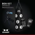 HAMMER Box-Set Sparring Professional, 80 cm, gefüllt, Bochandschuhe, Stahlkette