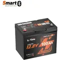 12V 100Ah Group24 Wohnmobil Bluetooth LiFePO4 Batterie für Mini Camper UPS system Boot - Schwarz