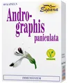 Andrographis Paniculata Kapseln 60 St