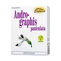 2x ANDROGRAPHIS PANICULATA Kapseln 60 ST