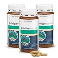 Grünlippmuschel-Kapseln 500mg | Bindegewebe Gelenke | 3 x 150 Stk | 108,91€/kg
