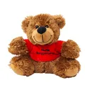 Kuscheltier Bär mit rotem Shirt Gute Besserung 16 cm Plüschbär