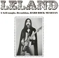 A Self Taught, Decathlon Hard Rock Musican.