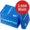 Easyprint Druckerpapier Kopierpapier 2500 Blatt 5 x 500 A4 Premium Hochweiß CIE 160 PEFC