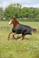 Bucas Outdoordecke 150g Irish Turnout Weidedecke Black/Gold 155