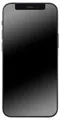Apple iPhone 12  - 15,5 cm (6.1 Zoll), 64 GB - 12 MP - iOS 14 - Schwarz