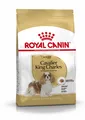 Royal Canin Cavalier King Charles Adult 1,5kg Spaniel Hundefutter