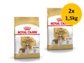 Royal Canin Cavalier King Charles | 2x 1,5kg Sparpackung