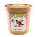 AniCanis Bio Kräutermix Abwehrheld für Hunde - Immunkräuter getrocknet - Futterzusatz Barf-Kräuter vom Tierheilpraktiker - 125g