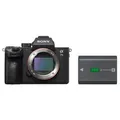 Sony Alpha ILCE-7 III (ILCE7M3) + Sony Akku NP-FZ100