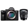 Sony Alpha ILCE-7 III (ILCE7M3) + Sigma 85mm f1,4 DG DN (A)