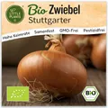 Little Plants BIO Zwiebel Samen 200 Zwiebelsamen Stuttgarter Gemüsezwiebel Gemüsesamen Gemüsesaatgut für Gemüsegarten, Hochbeet, Küche, Balkon und Garten