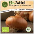 Zwiebel Samen (BIO) - 200 Samen Gemüsesamen Zwiebelsamen Stuttgarter