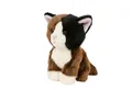 Teddys Rothenburg Kuscheltier Katze dunkelbraun/schwarz/weiß 18 cm Plüschtier Stoffkatze (Plüschkatze, Stofftier, Kätzchen, Babykatze, Katzenbaby)